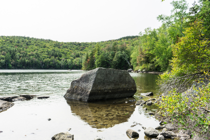 女仆的露天咖啡厅 女仆的露天咖啡厅